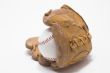 Baseball and Baseball Glove