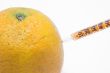 Orange and Syringe