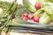vegetables