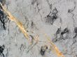 Marble