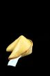 fortune cookie