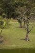 City Park