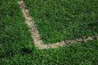 Field