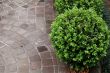 Floor and plant