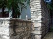 Stone wall, cat