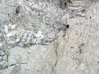 Marble