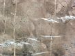 Marble
