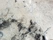 Marble