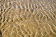 Texture