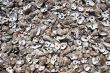 oyster shells