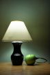 an apple powered lamp