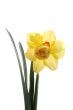 spring time!