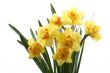 spring time!