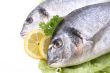 dorada fish