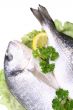 dorada fish