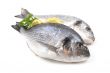 dorada fish
