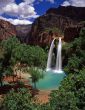 Havasu Falls #5