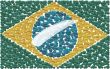 Brazilian Flag
