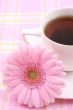 cup of tea