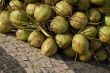 Coconut