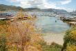 Simon`s Town