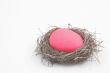 a pink easter egg in a birds nest