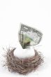 a concept of a financial nest egg