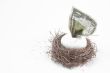 a concept of a financial nest egg