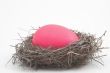 a pink easter egg in a birds nest