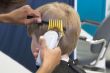 a little boy getting a haircut