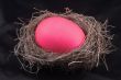 a pink easter egg in a birds nest