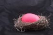 a pink easter egg in a birds nest