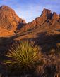 MN0030ChisosMountains&DesertPlant