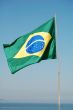 Brazilian Flag