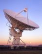 Dish&Moon