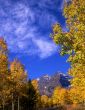 Maroon Bells Vert