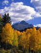 Mt Sneffels&Aspens