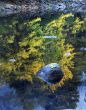 Rock & Leaf Merced River