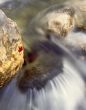 Rushing Water (V)