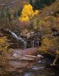 MN0144SanJuanForestWaterfall