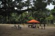 Music at the park