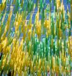 Street embellishment