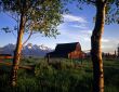 Teton Barn & Aspens