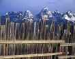 Teton Fence