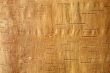 birch bark3