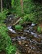 Trout Creek