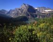 Mt Gould & Flowers