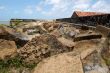 Fort Orange