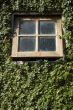 Small window