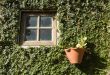 Small window